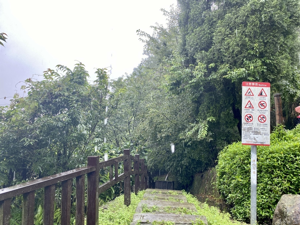 嘉義梅山景點-丁小羽帶你去竹坑溪步道裡的『生毛樹瀑布』【丁小羽登山篇】