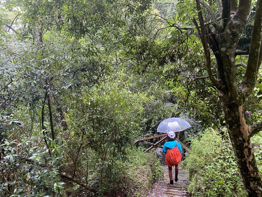 嘉義梅山景點-出發竹坑溪步道，走過巨石岩壁，欣賞龍宮瀑布及生毛樹瀑布