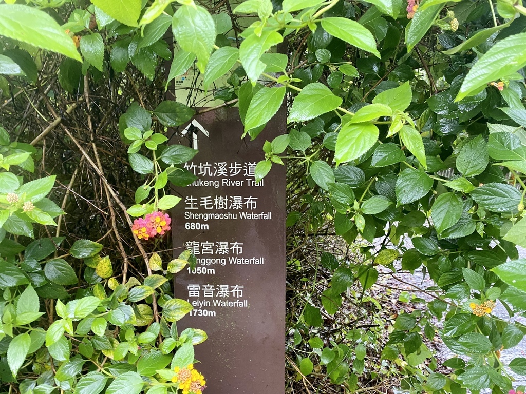 嘉義梅山景點-出發竹坑溪步道，走過巨石岩壁，欣賞龍宮瀑布及生毛樹瀑布