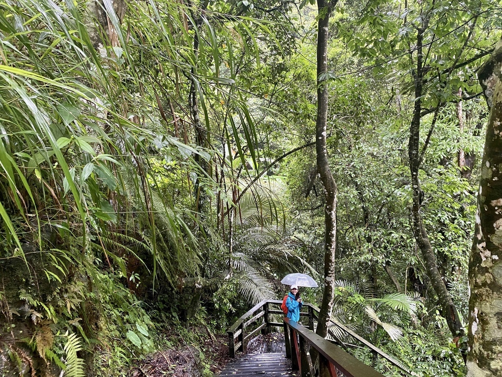 嘉義梅山景點-出發竹坑溪步道，走過巨石岩壁，欣賞龍宮瀑布及生毛樹瀑布