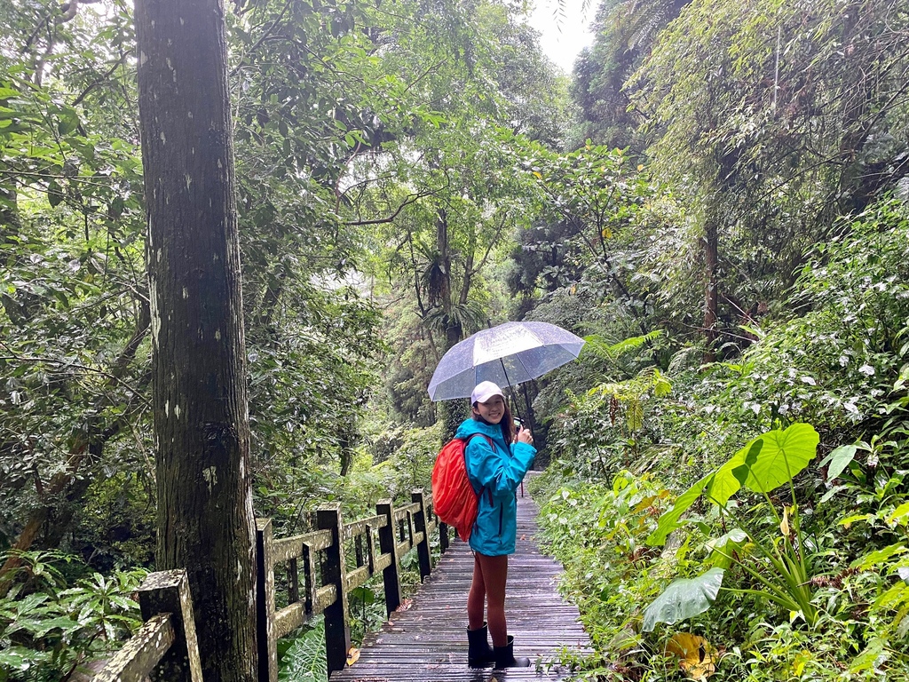 嘉義梅山景點-出發竹坑溪步道，走過巨石岩壁，欣賞龍宮瀑布及生毛樹瀑布