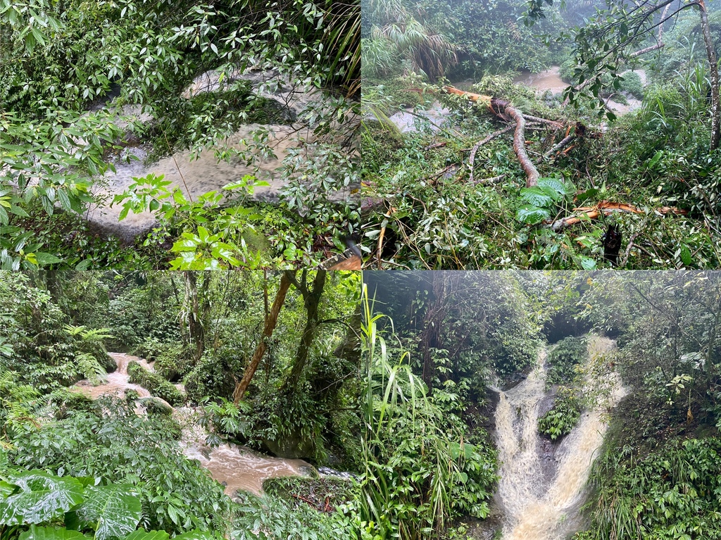 嘉義梅山景點-出發竹坑溪步道，走過巨石岩壁，欣賞龍宮瀑布及生毛樹瀑布