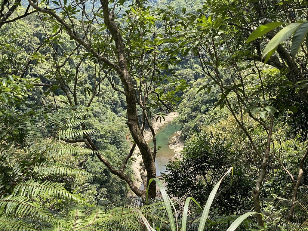 新北瑞芳登山步道-跟著丁小羽去三貂嶺步道，欣賞合谷瀑布