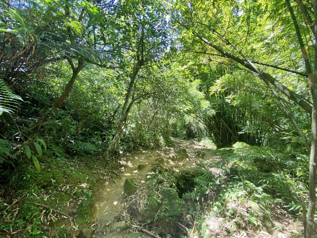 ​​​​​​新北瑞芳登山步道-跟著丁小羽去三貂嶺步道，欣賞摩天瀑布(月眉洞瀑布)