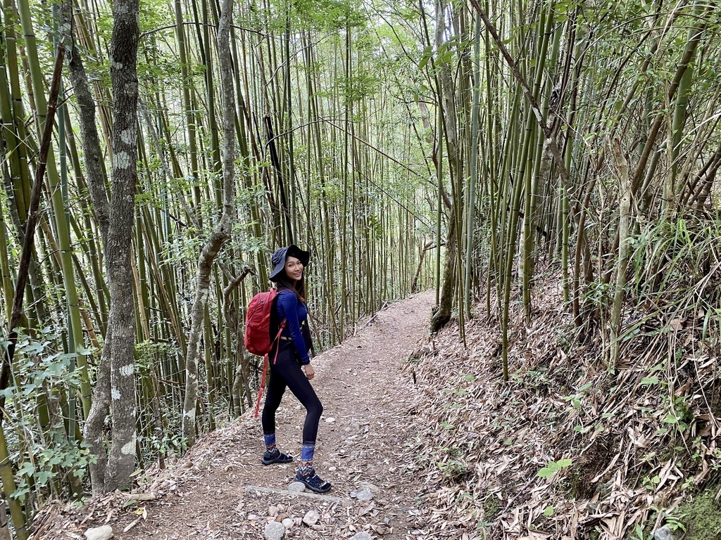 桃園瀑布景點-走訪拉拉山秘境，出發鐵力庫部落！欣賞幽靈瀑布、水濂洞瀑布(瀑布步道)