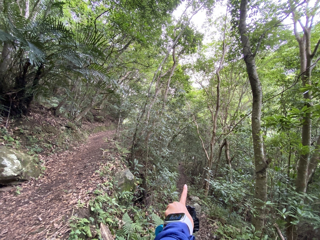 桃園瀑布景點-走訪拉拉山秘境,出發鐵力庫部落!欣賞幽靈瀑布、水濂洞瀑布(瀑布步道)