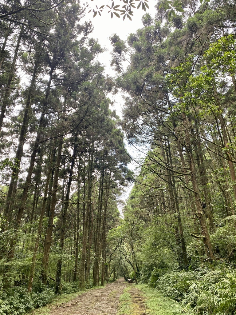 新北景點-我們一起去『坪溪古道』消暑！出發淡蘭古道坪溪段