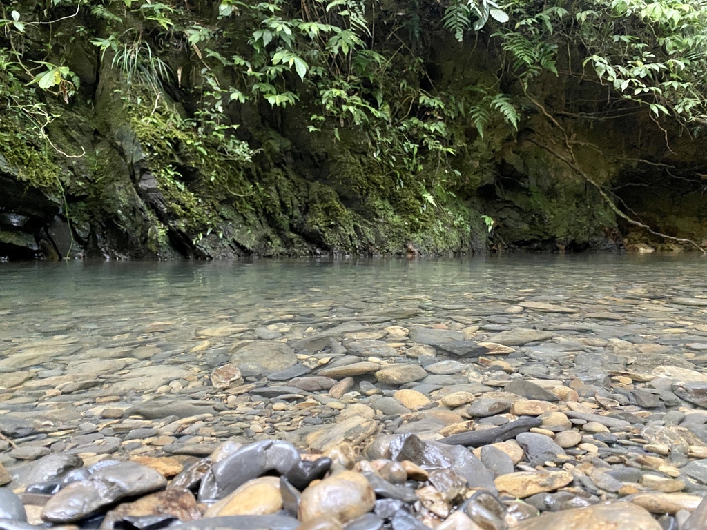 新北景點-我們一起去『坪溪古道』消暑！出發淡蘭古道坪溪段