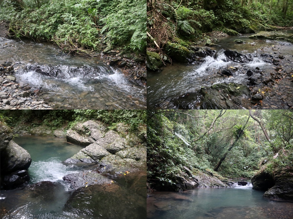 新北景點-我們一起去『坪溪古道』消暑！出發淡蘭古道坪溪段