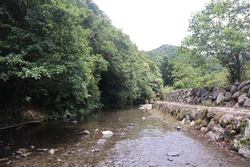 新北景點-我們一起去『坪溪古道』消暑！出發淡蘭古道坪溪段