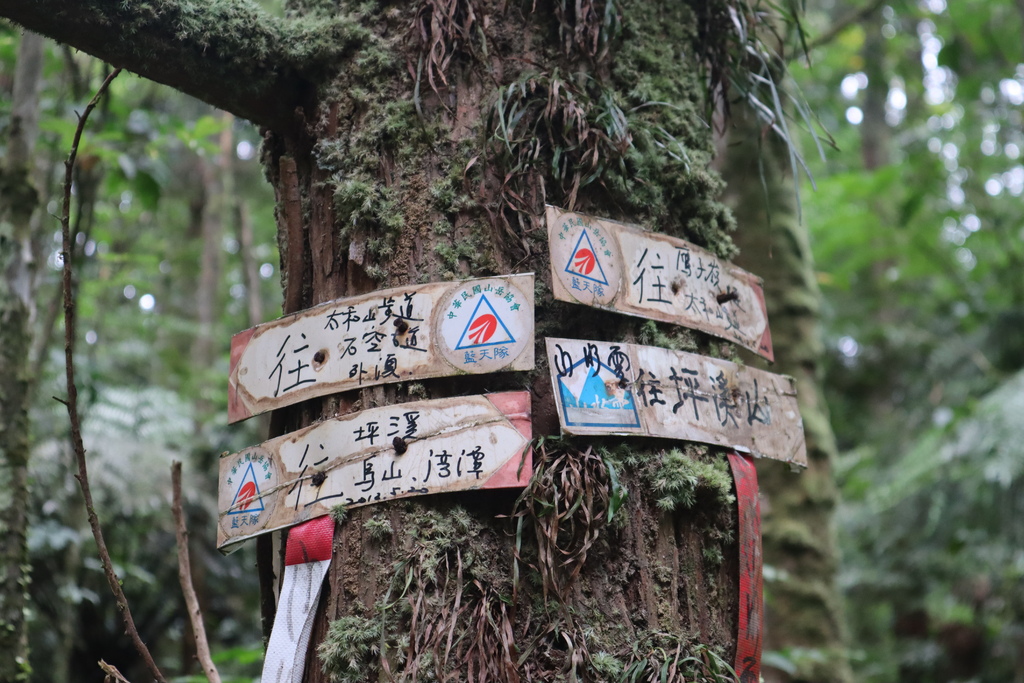 新北景點-我們一起去『坪溪古道』消暑！出發淡蘭古道坪溪段