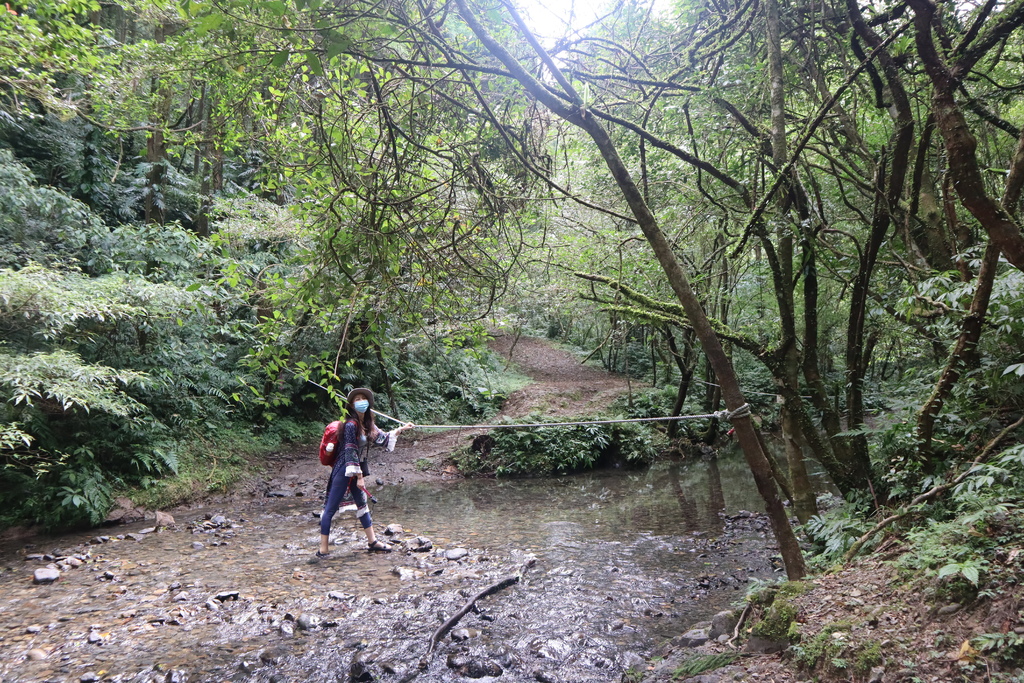 新北景點-我們一起去『坪溪古道』消暑！出發淡蘭古道坪溪段