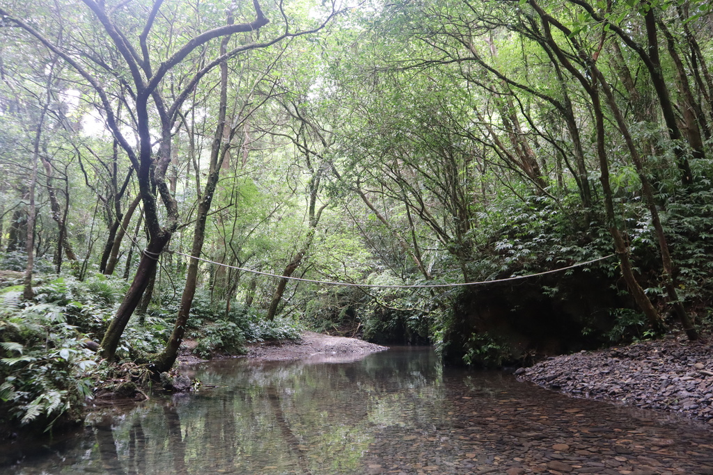 新北景點-我們一起去『坪溪古道』消暑！出發淡蘭古道坪溪段