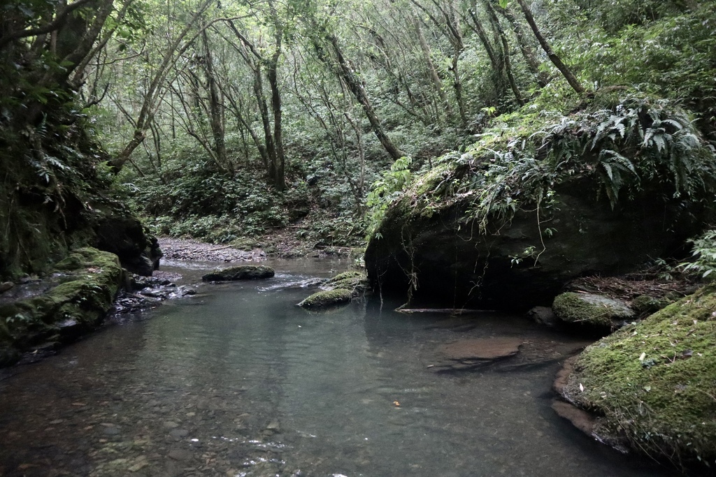 新北景點-我們一起去『坪溪古道』消暑！出發淡蘭古道坪溪段