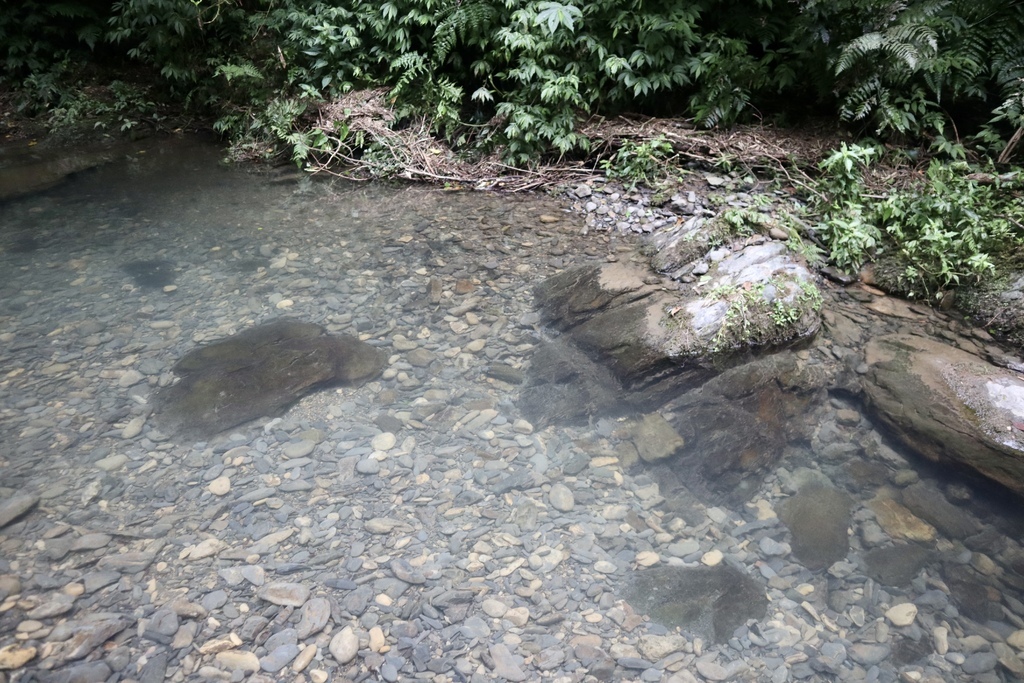 新北景點-我們一起去『坪溪古道』消暑！出發淡蘭古道坪溪段