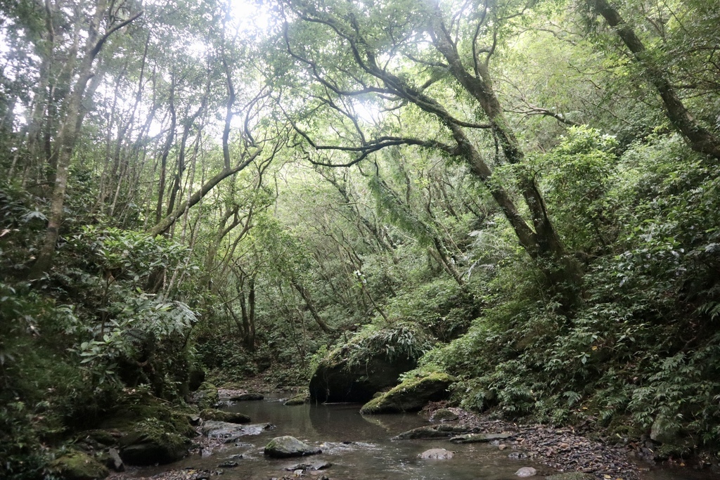 新北景點-我們一起去『坪溪古道』消暑！出發淡蘭古道坪溪段