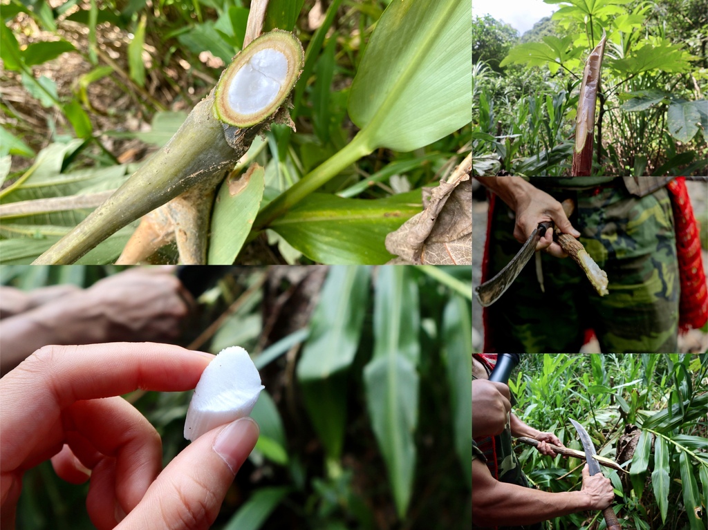 宜蘭一日遊之部落深度旅行!【野趣大同】野營寒溪。古魯林道獵人山旅 宜蘭一日遊之部落深度旅行!【野趣大同】野營寒溪。古魯林道獵人山旅