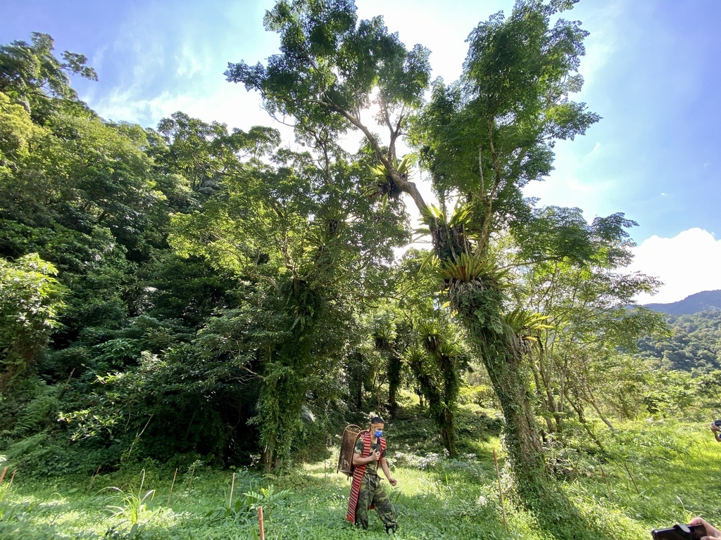 宜蘭大同鄉景點-跟著丁小羽探訪古魯林道(平元林道)