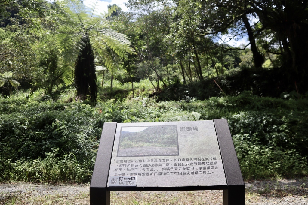 宜蘭大同鄉景點-跟著丁小羽探訪古魯林道(平元林道)