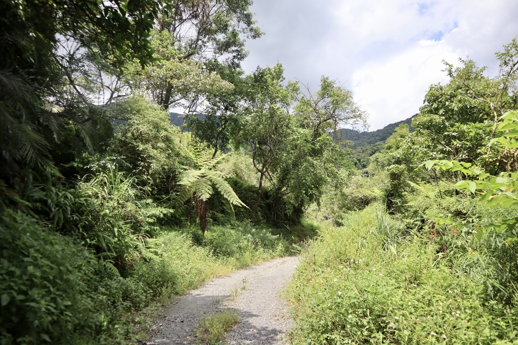 宜蘭大同鄉景點-跟著丁小羽探訪古魯林道(平元林道)