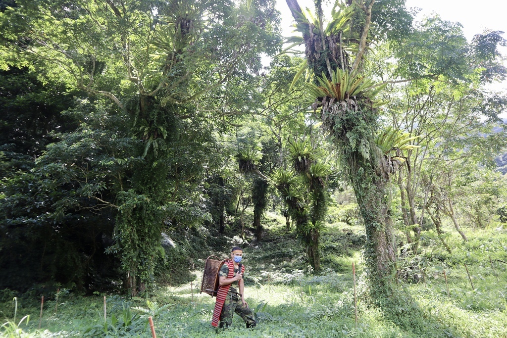 宜蘭一日遊之部落深度旅行!【野趣大同】野營寒溪。古魯林道獵人山旅 宜蘭一日遊之部落深度旅行!【野趣大同】野營寒溪。古魯林道獵人山旅