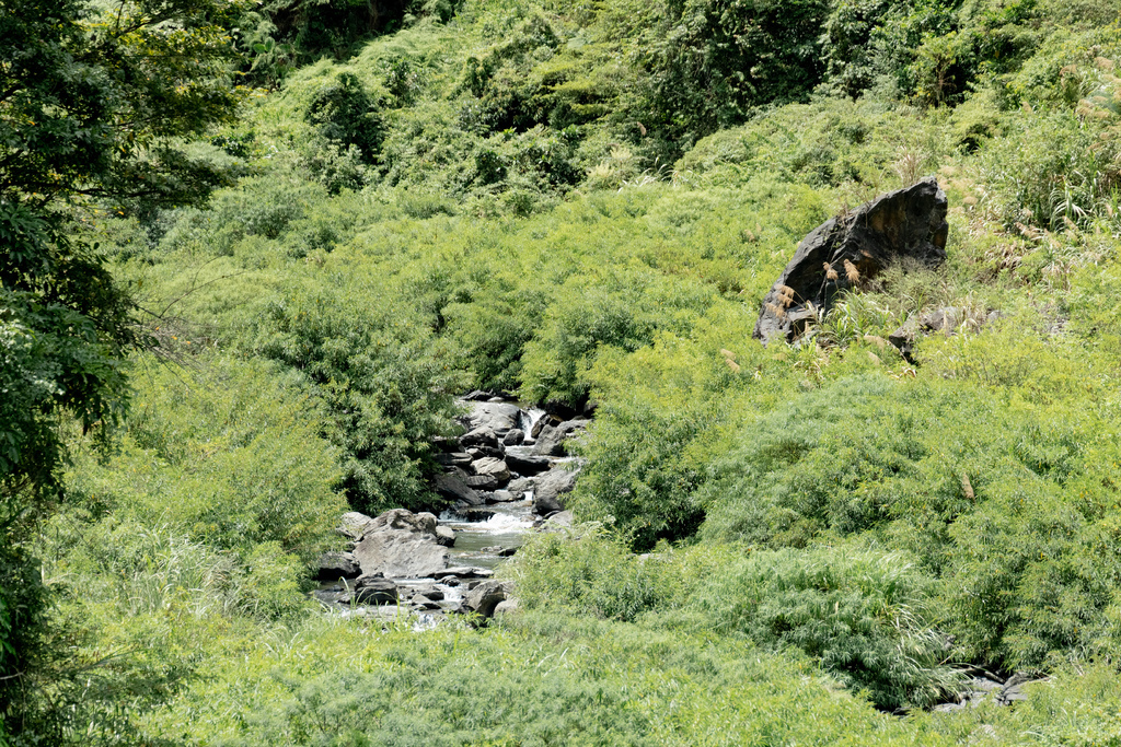 宜蘭大同鄉景點-跟著丁小羽探訪古魯林道(平元林道)【丁小羽登山篇】