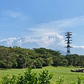 屏東潮州景點-林後四林平地森林園區-丁小羽