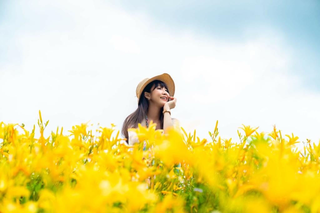 看金針花海不用去花東!丁小羽帶你去苗栗大湖社寮角堤防欣賞金針花海 看金針花海不用去花東!丁小羽帶你去苗栗大湖社寮角堤防欣賞金針花海