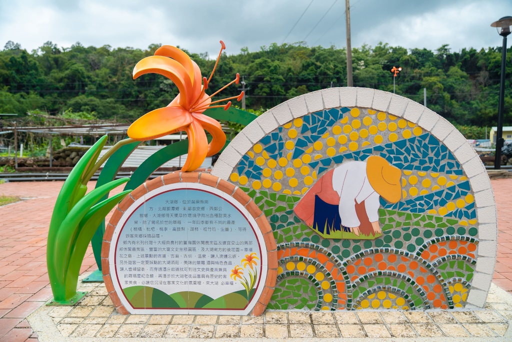 看金針花海不用去花東!丁小羽帶你去苗栗大湖社寮角堤防欣賞金針花海 看金針花海不用去花東!丁小羽帶你去苗栗大湖社寮角堤防欣賞金針花海