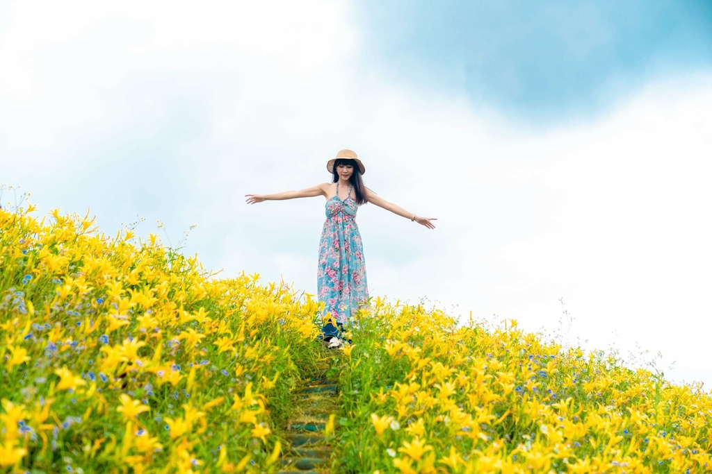 看金針花海不用去花東!丁小羽帶你去苗栗大湖社寮角堤防欣賞金針花海 看金針花海不用去花東!丁小羽帶你去苗栗大湖社寮角堤防欣賞金針花海