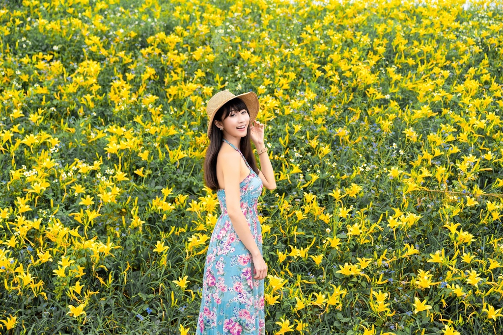 看金針花海不用去花東!丁小羽帶你去苗栗大湖社寮角堤防欣賞金針花海 看金針花海不用去花東!丁小羽帶你去苗栗大湖社寮角堤防欣賞金針花海