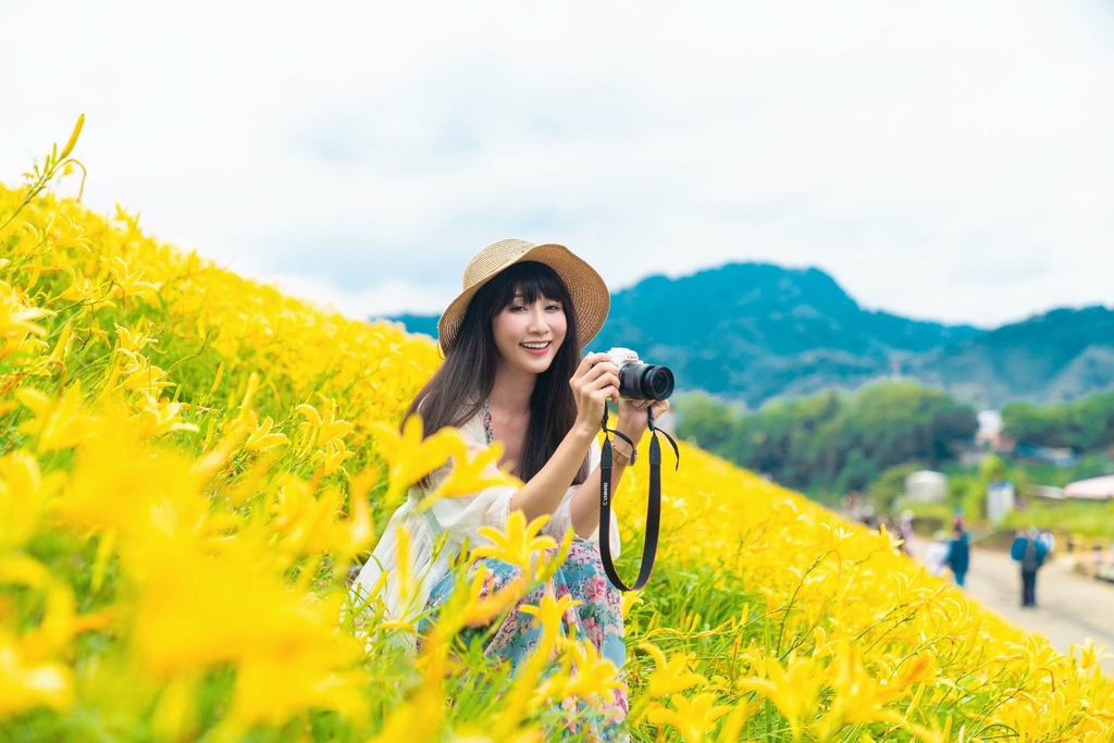 看金針花海不用去花東!丁小羽帶你去苗栗大湖社寮角堤防欣賞金針花海 看金針花海不用去花東!丁小羽帶你去苗栗大湖社寮角堤防欣賞金針花海