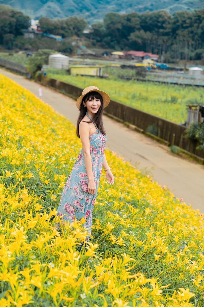看金針花海不用去花東!丁小羽帶你去苗栗大湖社寮角堤防欣賞金針花海 看金針花海不用去花東!丁小羽帶你去苗栗大湖社寮角堤防欣賞金針花海