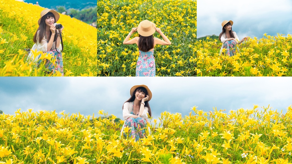 看金針花海不用去花東!丁小羽帶你去苗栗大湖社寮角堤防欣賞金針花海 看金針花海不用去花東!丁小羽帶你去苗栗大湖社寮角堤防欣賞金針花海