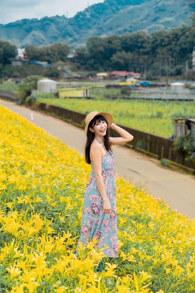 看金針花海不用去花東!丁小羽帶你去苗栗大湖社寮角堤防欣賞金針花海 看金針花海不用去花東!丁小羽帶你去苗栗大湖社寮角堤防欣賞金針花海