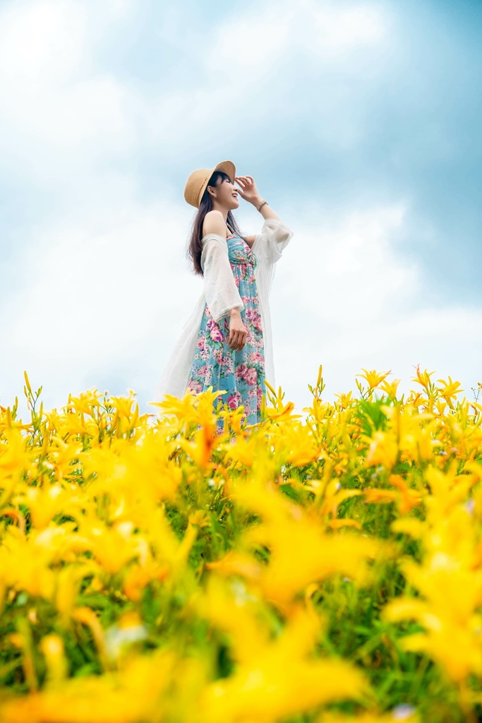 看金針花海不用去花東!丁小羽帶你去苗栗大湖社寮角堤防欣賞金針花海【丁小羽旅遊篇】 看金針花海不用去花東!丁小羽帶你去苗栗大湖社寮角堤防欣賞金針花海【丁小羽旅遊篇】