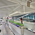 桃園景點-桃園機場第二航廈觀景台-丁小羽