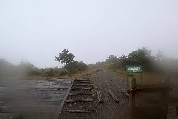 台灣百岳-丁小羽-庫哈諾辛山-庫哈諾辛山山屋、3026高地(3026營地)