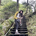 台灣百岳-百岳登山-南橫三星-庫哈諾辛山-丁小羽