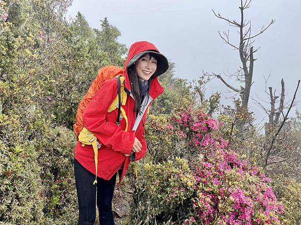 台灣百岳-百岳登山-南橫三星-庫哈諾辛山-丁小羽