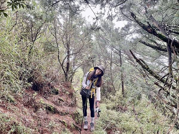 台灣百岳-百岳登山-南橫三星-庫哈諾辛山-丁小羽