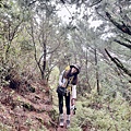 台灣百岳-百岳登山-南橫三星-庫哈諾辛山-丁小羽