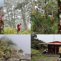 台灣百岳-百岳登山-南橫三星-庫哈諾辛山-丁小羽