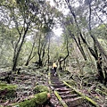 台灣百岳-百岳登山-南橫三星-庫哈諾辛山-丁小羽