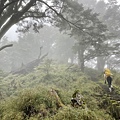 台灣百岳-百岳登山-南橫三星-庫哈諾辛山-丁小羽