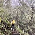 台灣百岳-百岳登山-南橫三星-庫哈諾辛山-丁小羽