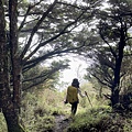 台灣百岳-百岳登山-南橫三星-庫哈諾辛山-丁小羽