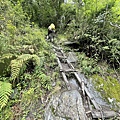 台灣百岳-百岳登山-南橫三星-庫哈諾辛山-丁小羽
