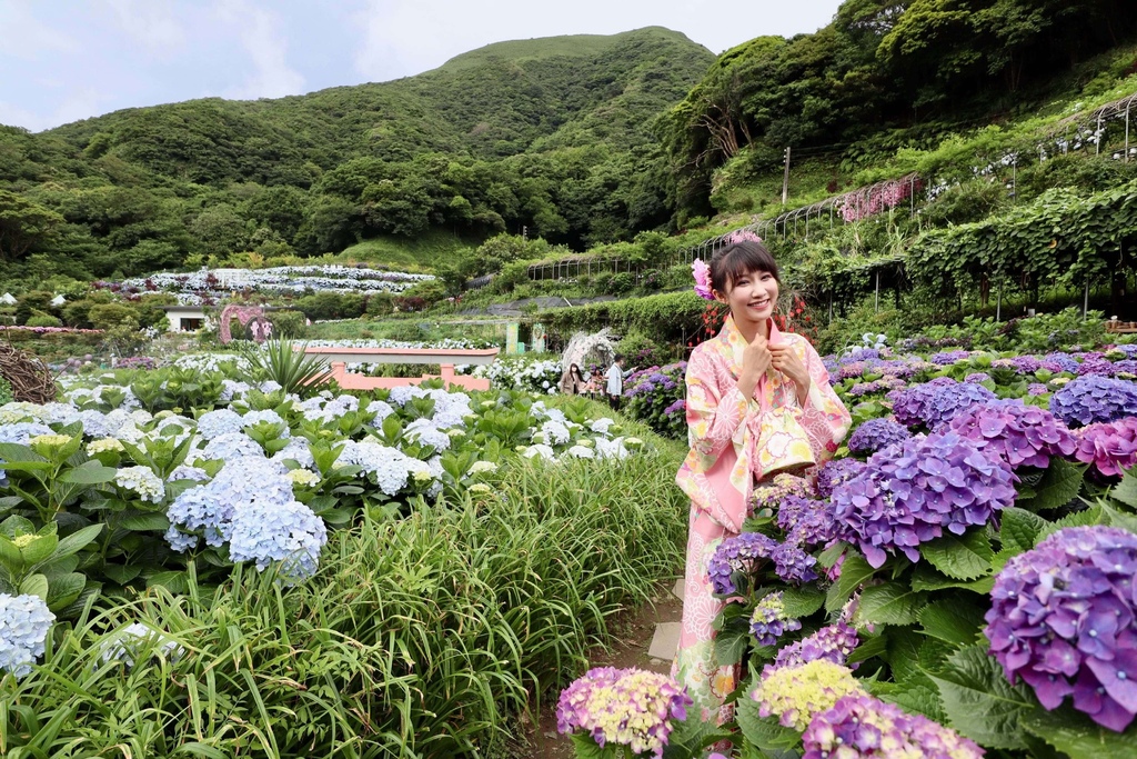 跟著丁小羽去陽明山竹子湖賞繡球花！出發曹家花田香，賞繡球花的好去處