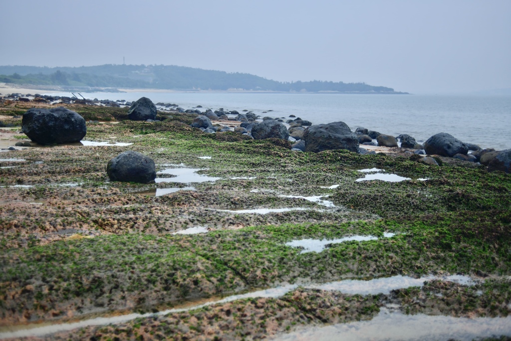 小金門烈嶼景點-走訪青岐港(青岐碼頭)觀賞綠石槽、玄武岩(金門唯一玄武岩風化海岸)